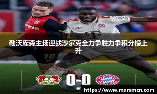 勒沃库森主场迎战沙尔克全力争胜力争积分榜上升